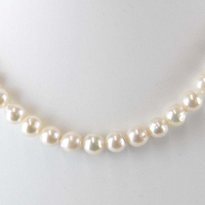美品『USED』 パール 
 8mm ネックレス