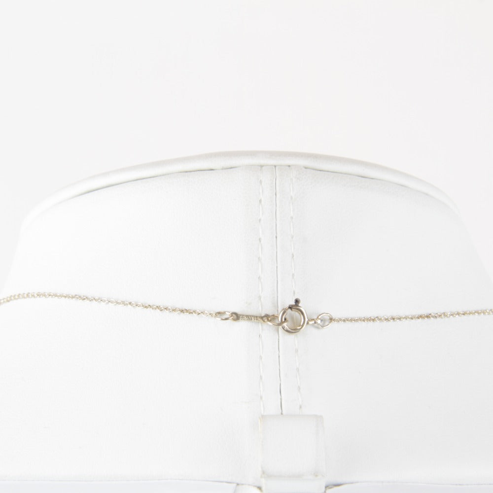 『USED』 シルバー925 
TIFFANY&Co. パロマピカソ ネックレス