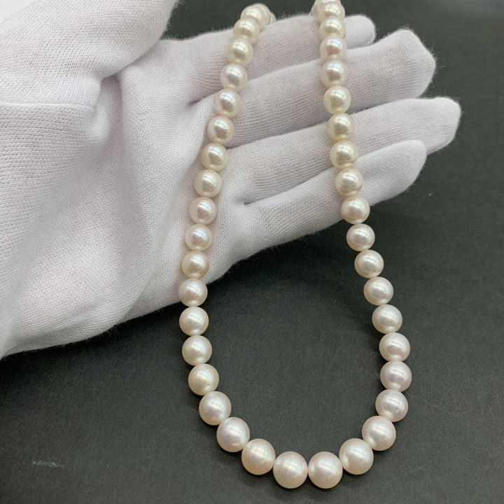 パール 
ネックレス
 中古