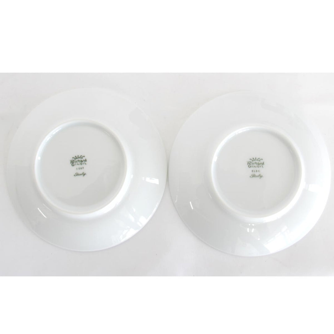 美品『USED』 
Richard Ginori リチャードジノリ 
 カップ&ソーサー ② 食器