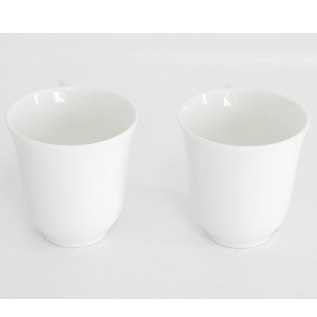 美品『USED』 
Richard Ginori リチャードジノリ 
 カップ&ソーサー ② 食器